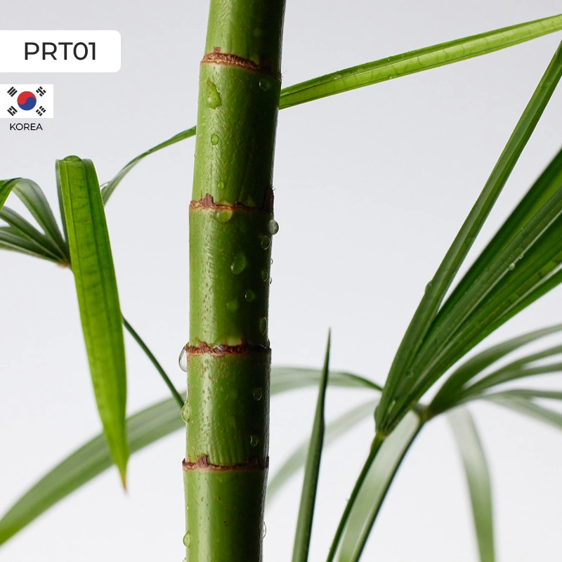 Product Detail Mini Image 2